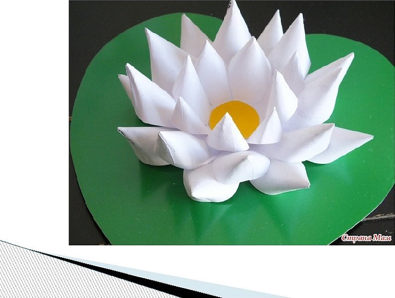 Как сделать красивый цветок кувшинку (лотос) из бумаги | Flower paper DIY, origami