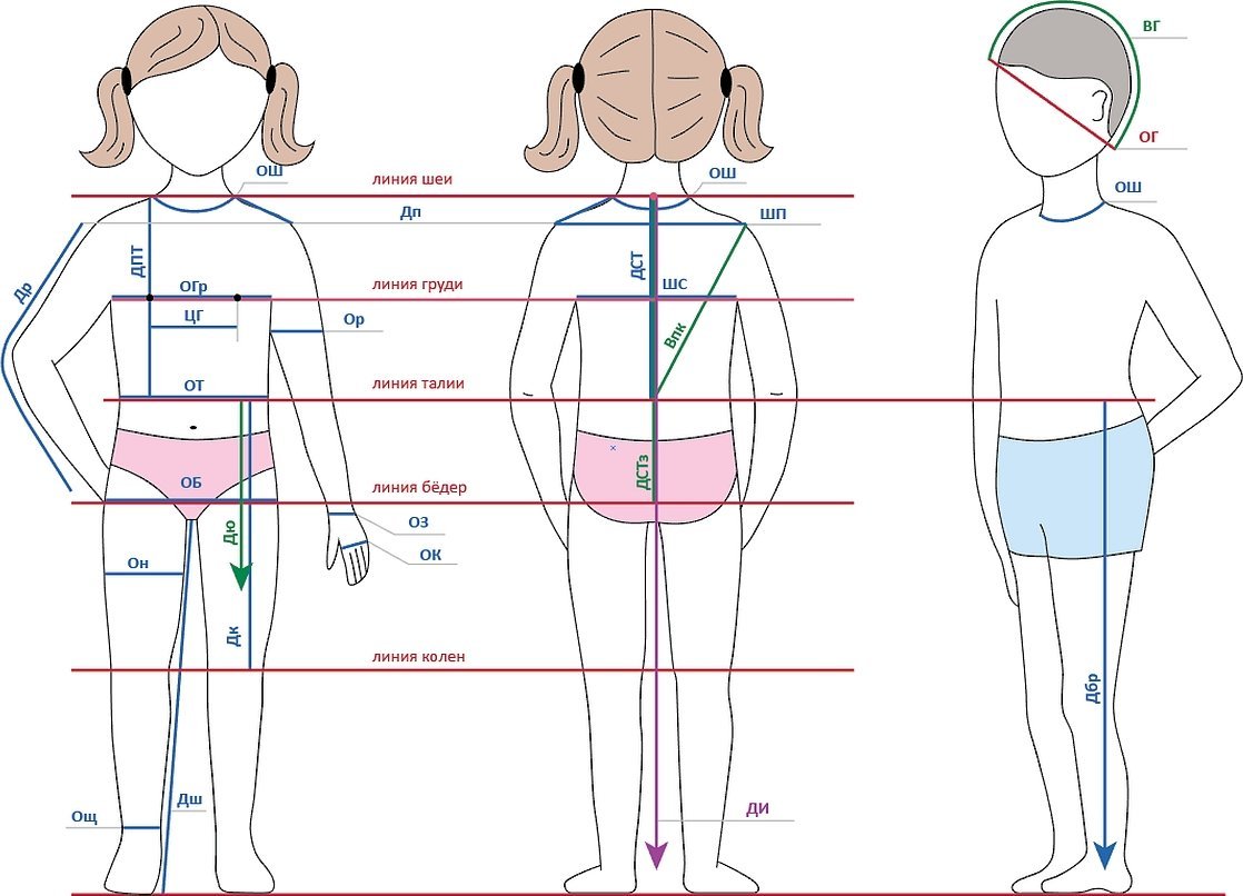 Снятие мерок с детской фигуры