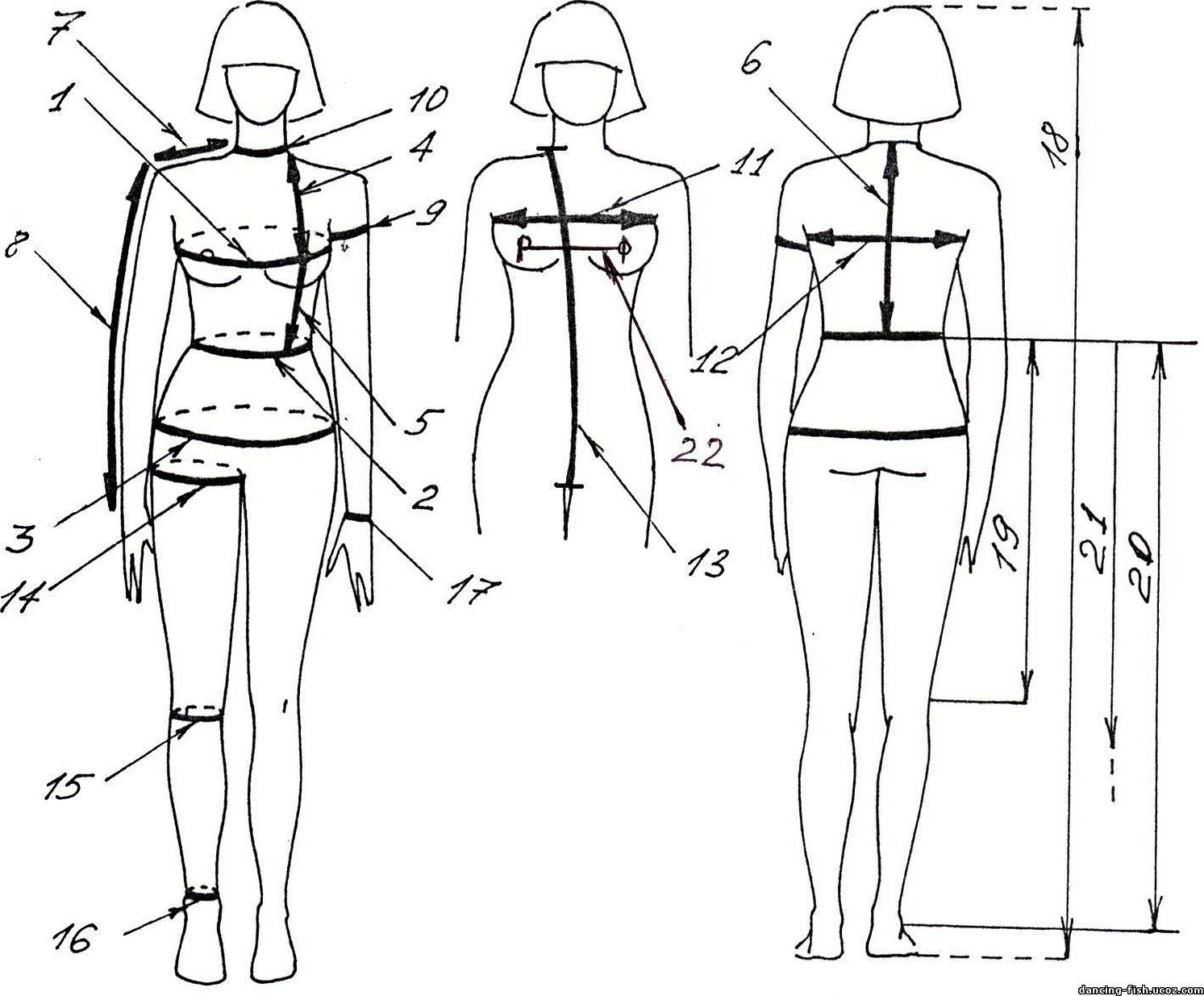 Как правильно снять. Схема снятия мерок для пошива. Схема мерок женской фигуры. Схема снятия мерок с женской фигуры. Схема снятие мерок для шитья.