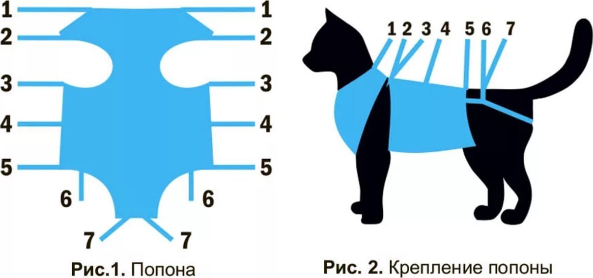 Попона для кошки после стерилизации