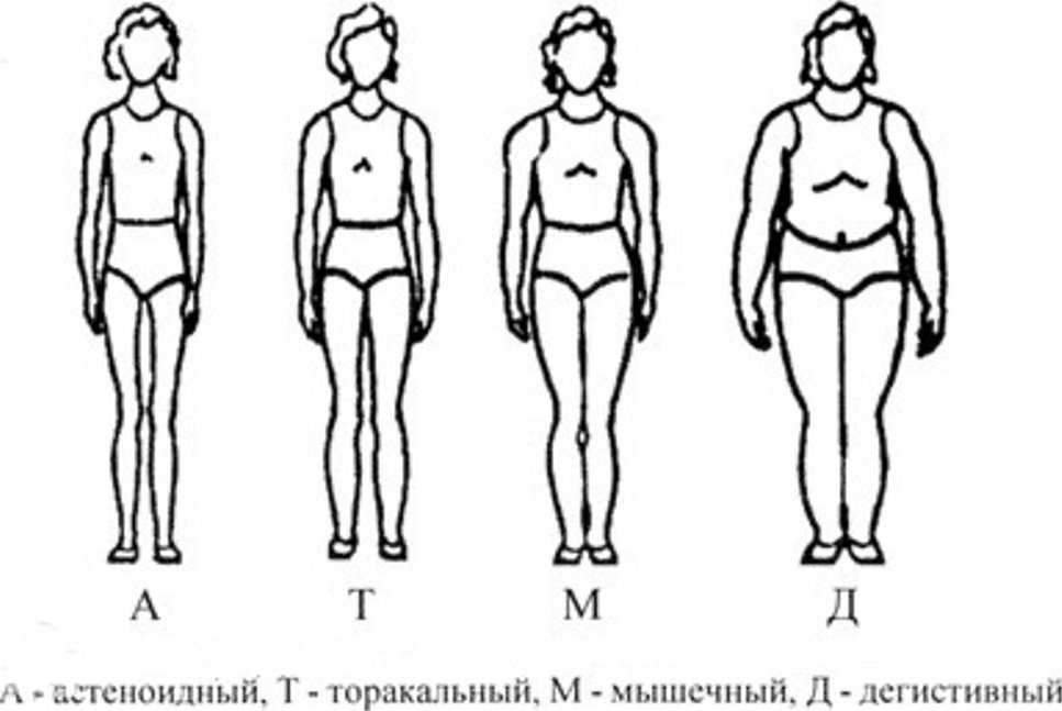 Астенический тип телосложения