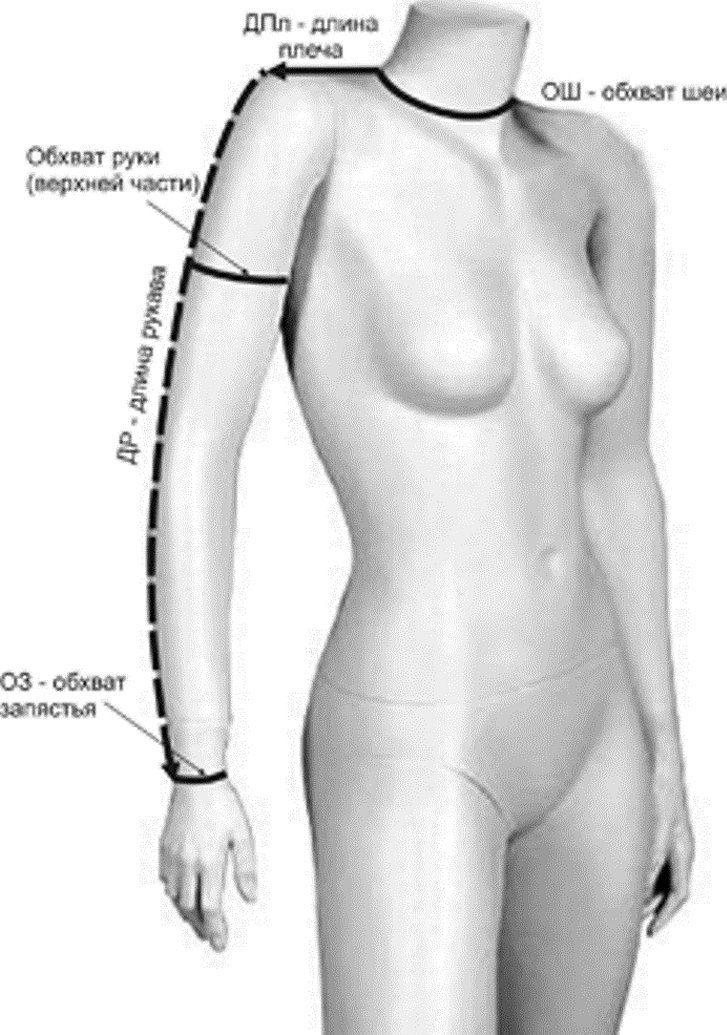 Мерки для шитья грудь талия бедра
